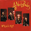 4-non-blondes-whats-up
